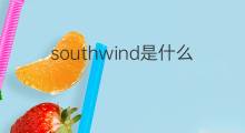 southwind是什么意思 southwind的中文翻译、读音、例句