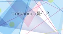 carbonado是什么意思 carbonado的中文翻译、读音、例句
