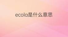 ecola是什么意思 ecola的中文翻译、读音、例句
