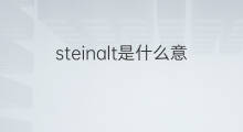 steinalt是什么意思 steinalt的中文翻译、读音、例句