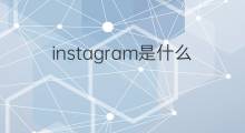 instagram是什么意思 instagram的中文翻译、读音、例句