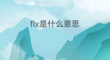 flx是什么意思 flx的中文翻译、读音、例句