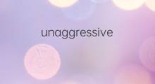 unaggressive是什么意思 unaggressive的中文翻译、读音、例句