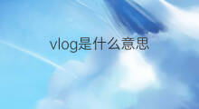 vlog是什么意思 vlog的中文翻译、读音、例句