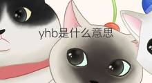 yhb是什么意思 yhb的中文翻译、读音、例句