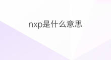nxp是什么意思 nxp的中文翻译、读音、例句
