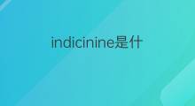 indicinine是什么意思 indicinine的中文翻译、读音、例句