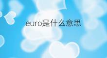euro是什么意思 euro的中文翻译、读音、例句