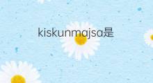 kiskunmajsa是什么意思 kiskunmajsa的中文翻译、读音、例句