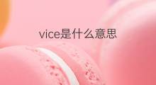 vice是什么意思 vice的中文翻译、读音、例句