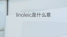 linoleic是什么意思 linoleic的中文翻译、读音、例句