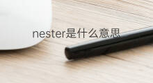nester是什么意思 nester的中文翻译、读音、例句