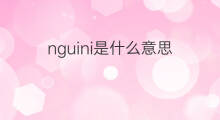 nguini是什么意思 nguini的中文翻译、读音、例句
