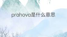 prahova是什么意思 prahova的中文翻译、读音、例句