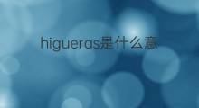 higueras是什么意思 higueras的中文翻译、读音、例句