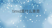timid是什么意思 timid的中文翻译、读音、例句