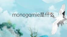 monogamie是什么意思 monogamie的中文翻译、读音、例句