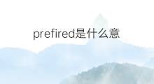 prefired是什么意思 prefired的中文翻译、读音、例句
