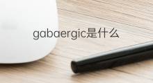 gabaergic是什么意思 gabaergic的中文翻译、读音、例句
