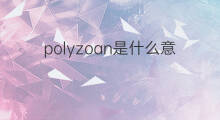 polyzoan是什么意思 polyzoan的中文翻译、读音、例句