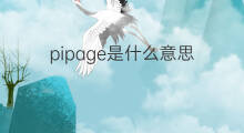 pipage是什么意思 pipage的中文翻译、读音、例句