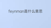 feynman是什么意思 feynman的中文翻译、读音、例句