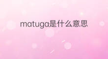 matuga是什么意思 matuga的中文翻译、读音、例句
