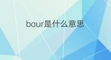 baur是什么意思 baur的中文翻译、读音、例句