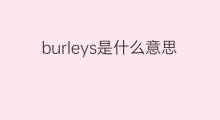 burleys是什么意思 burleys的中文翻译、读音、例句