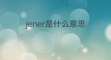 jener是什么意思 jener的中文翻译、读音、例句