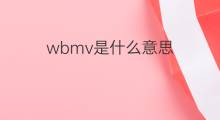 wbmv是什么意思 wbmv的中文翻译、读音、例句