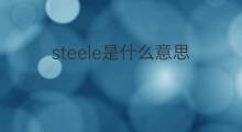 steele是什么意思 steele的中文翻译、读音、例句