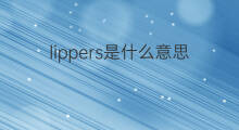lippers是什么意思 lippers的中文翻译、读音、例句
