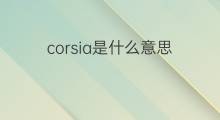 corsia是什么意思 corsia的中文翻译、读音、例句