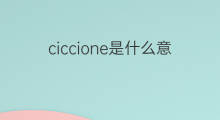ciccione是什么意思 ciccione的中文翻译、读音、例句