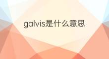 galvis是什么意思 galvis的中文翻译、读音、例句
