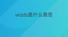 wads是什么意思 wads的中文翻译、读音、例句