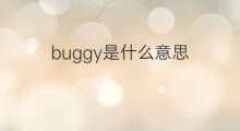 buggy是什么意思 buggy的中文翻译、读音、例句