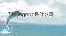 hmogenic是什么意思 hmogenic的中文翻译、读音、例句