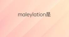 maleylation是什么意思 maleylation的中文翻译、读音、例句