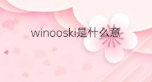 winooski是什么意思 winooski的中文翻译、读音、例句