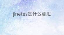 jinetes是什么意思 jinetes的中文翻译、读音、例句