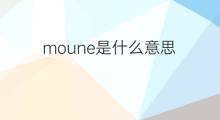 moune是什么意思 moune的中文翻译、读音、例句