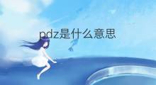 pdz是什么意思 pdz的中文翻译、读音、例句