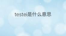 testei是什么意思 testei的中文翻译、读音、例句