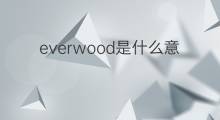 everwood是什么意思 everwood的中文翻译、读音、例句