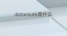 dataroute是什么意思 dataroute的中文翻译、读音、例句