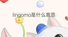 lingomo是什么意思 lingomo的中文翻译、读音、例句
