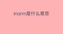 inarm是什么意思 inarm的中文翻译、读音、例句