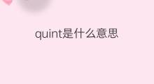 quint是什么意思 quint的中文翻译、读音、例句